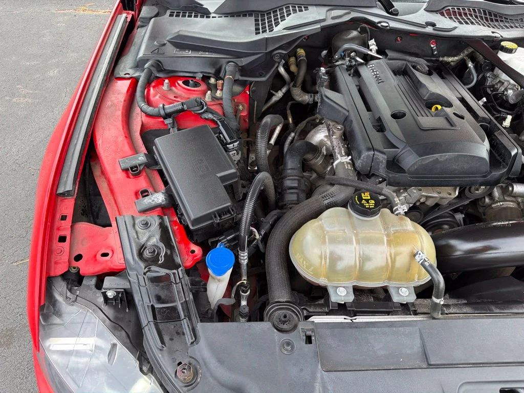 Used 2020 Red Ford EcoBoost Premium image 36