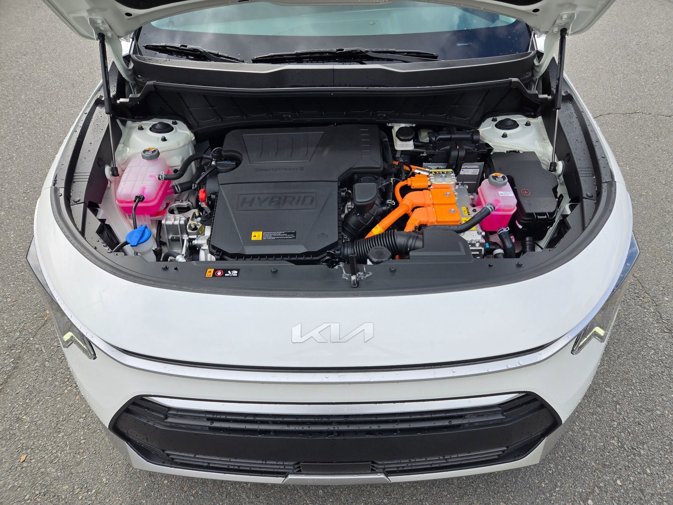 New 2026 Snow White Pearl Kia EX image 21