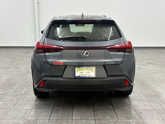Used 2023 Gray Lexus 250h Base image 3