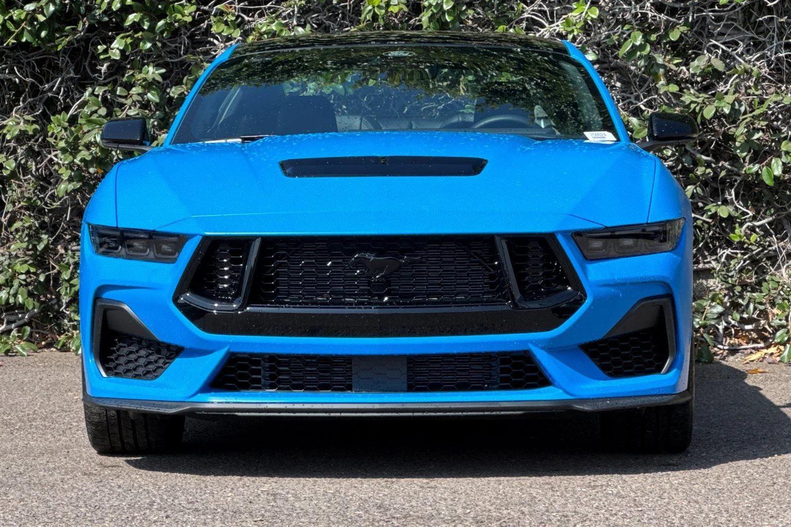 2025 Ford Mustang GT Premium Fastback - Photo 5