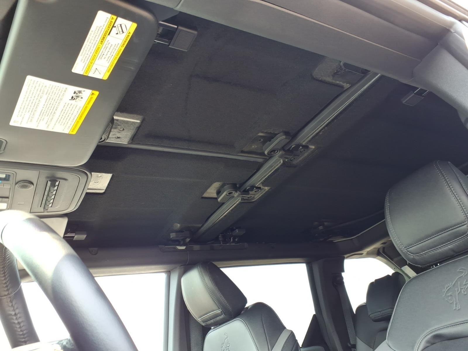 Used 2024 Cactus Gray Ford Black Diamond Sasquatch image 6
