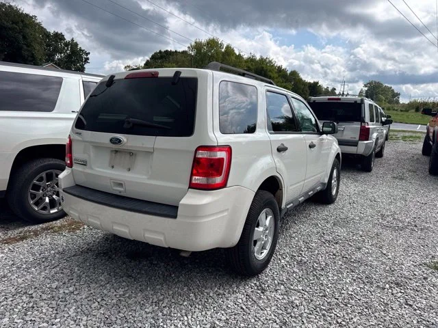 Used 2010 Beige Ford XLT image 5