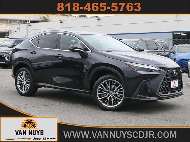 2024 Lexus NX Luxury