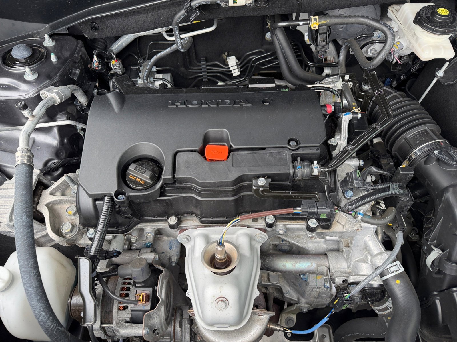 Used 2024 Gray Honda LX image 7