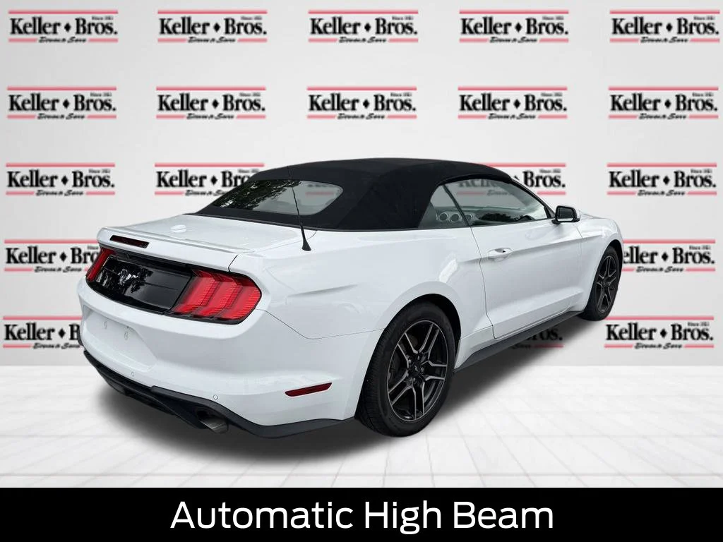 Used 2019 Oxford White Ford EcoBoost Premium image 7