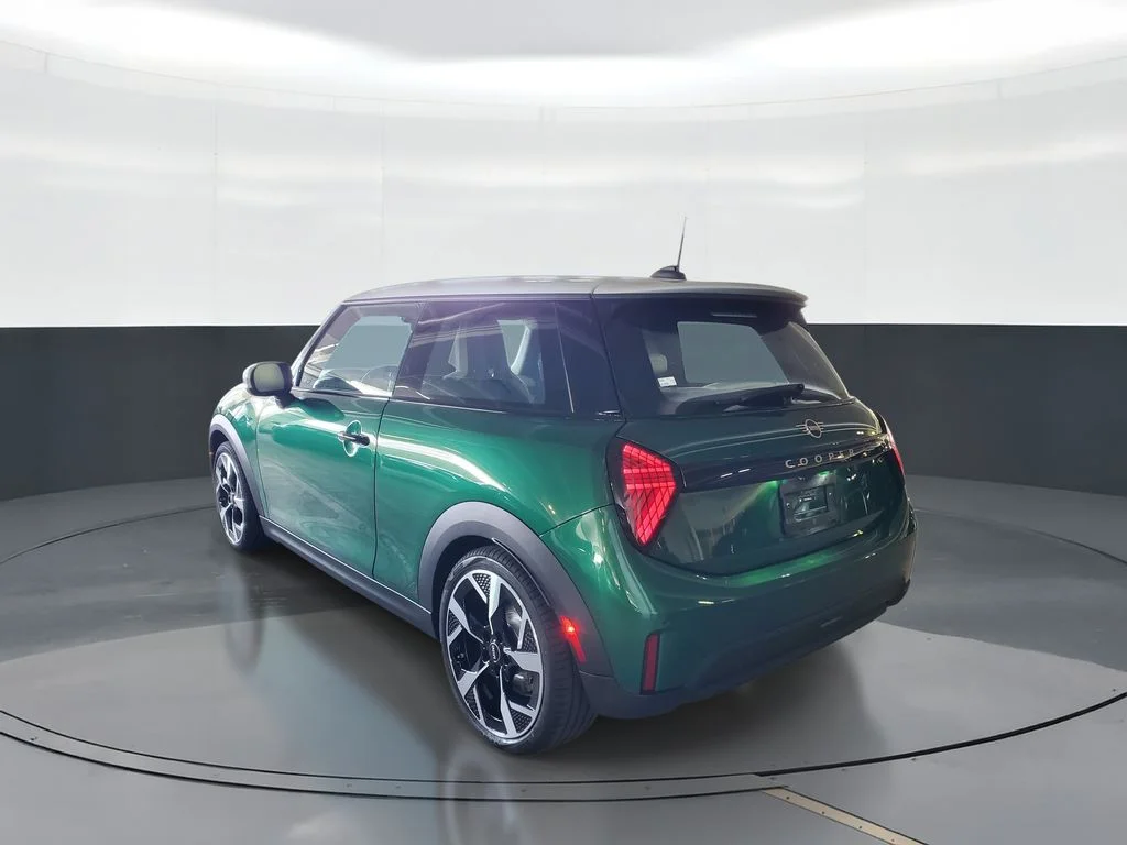 New 2026 Green MINI  image 4