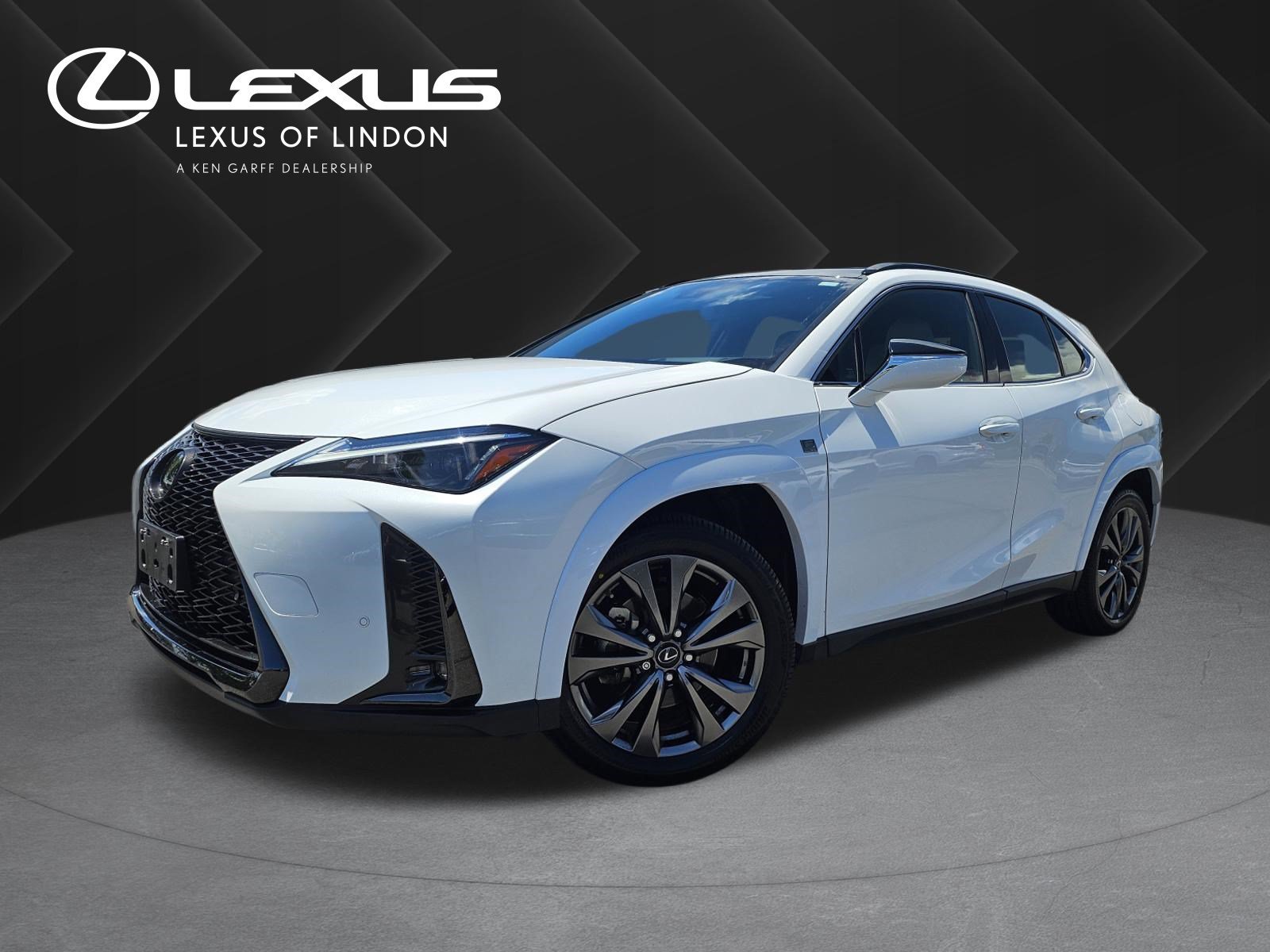 2024 Lexus UX 300h 250h F Sport Design AWD's photo