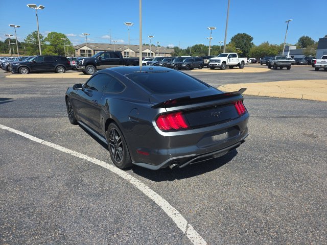 Used 2019 Gray Ford EcoBoost image 5