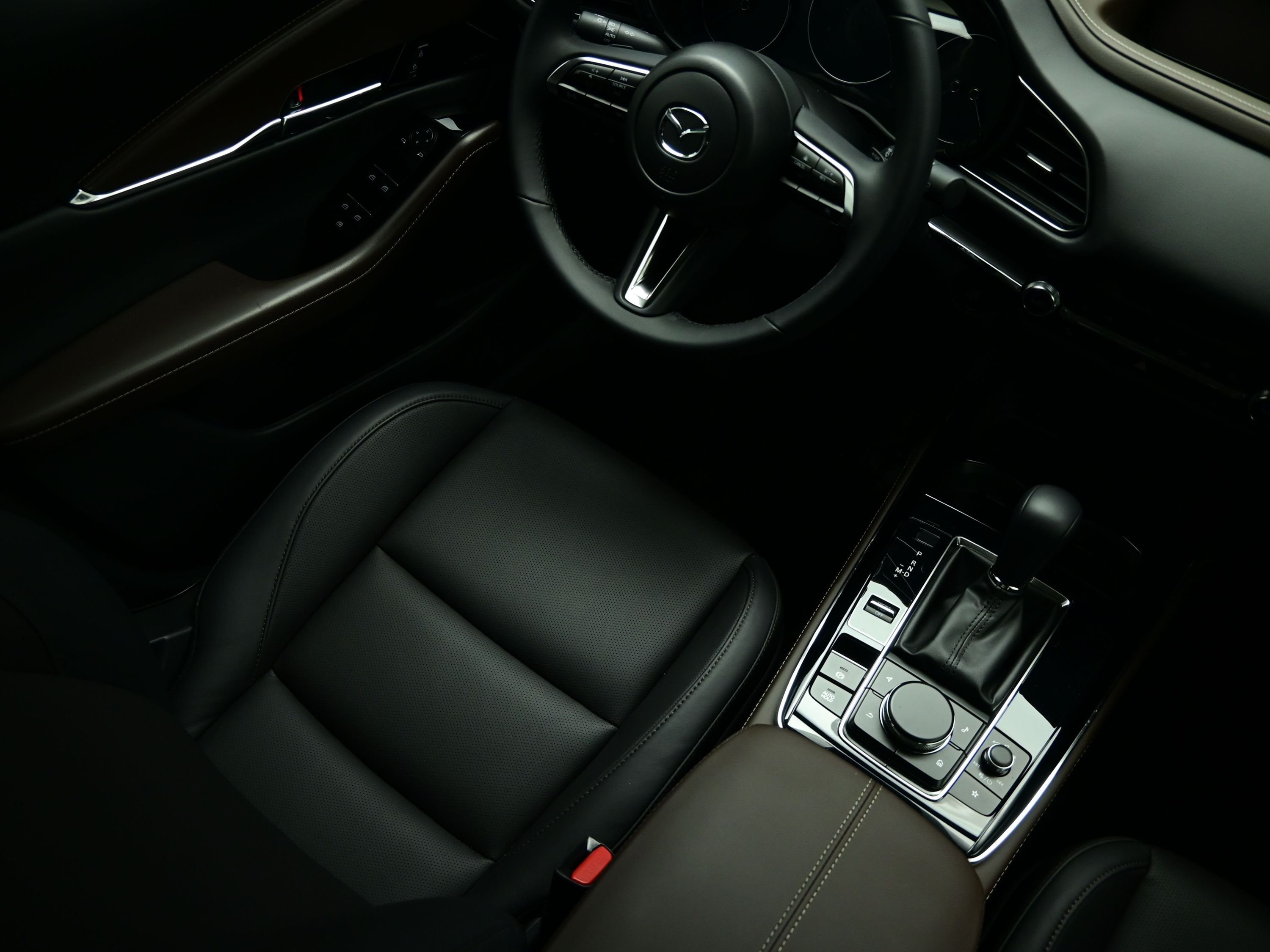 2025 Mazda CX-90 Premium Plus Package - Photo 39