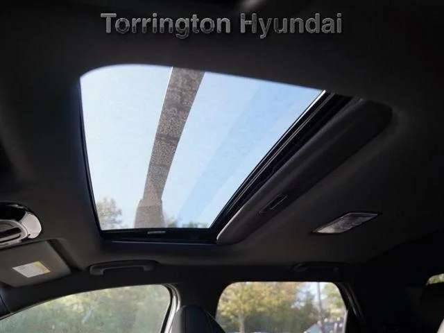 2025 Hyundai Santa Cruz Limited - Photo 9