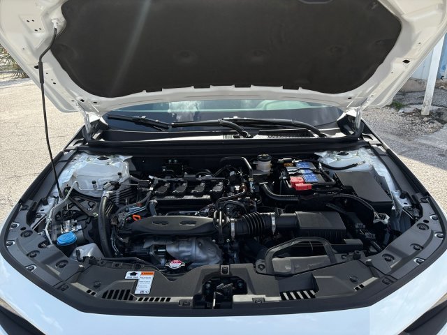 New 2026  Honda SE image 20
