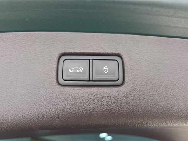 Used 2023 Green Genesis 3.5T image 34