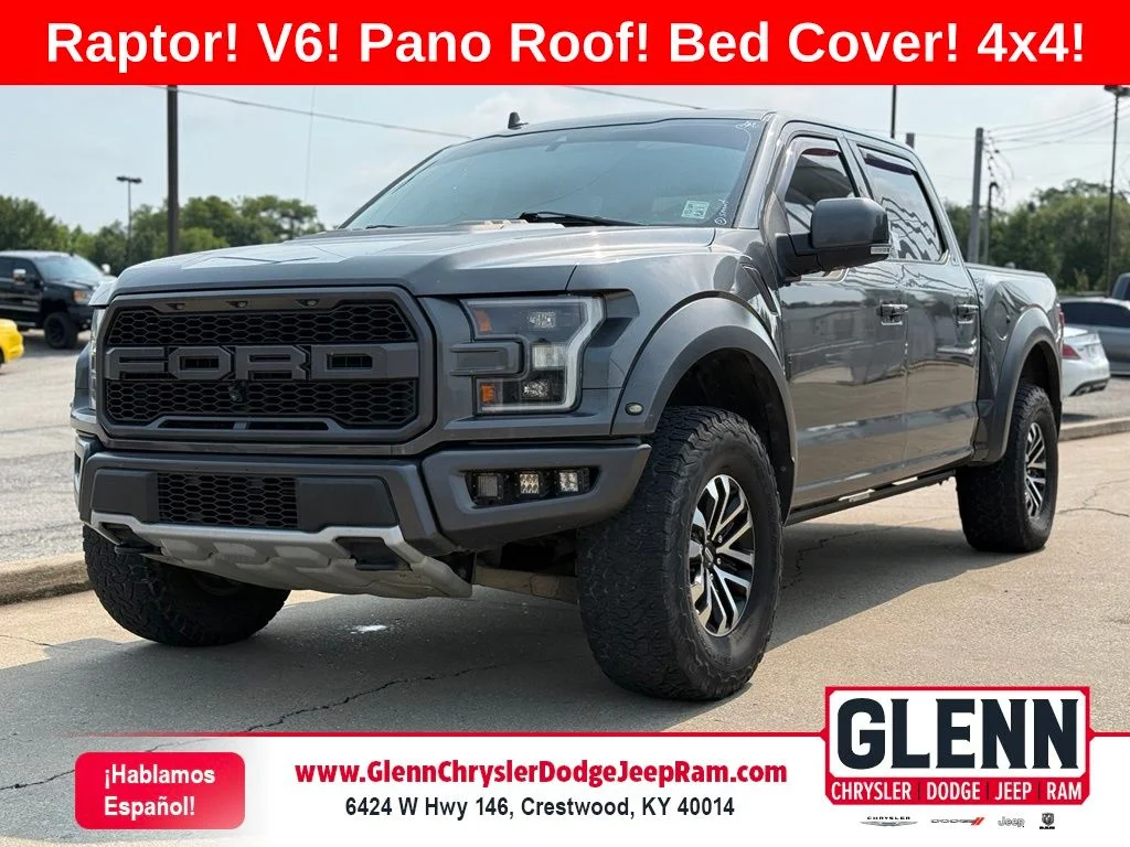 Used 2019 Gray Ford Raptor image 1