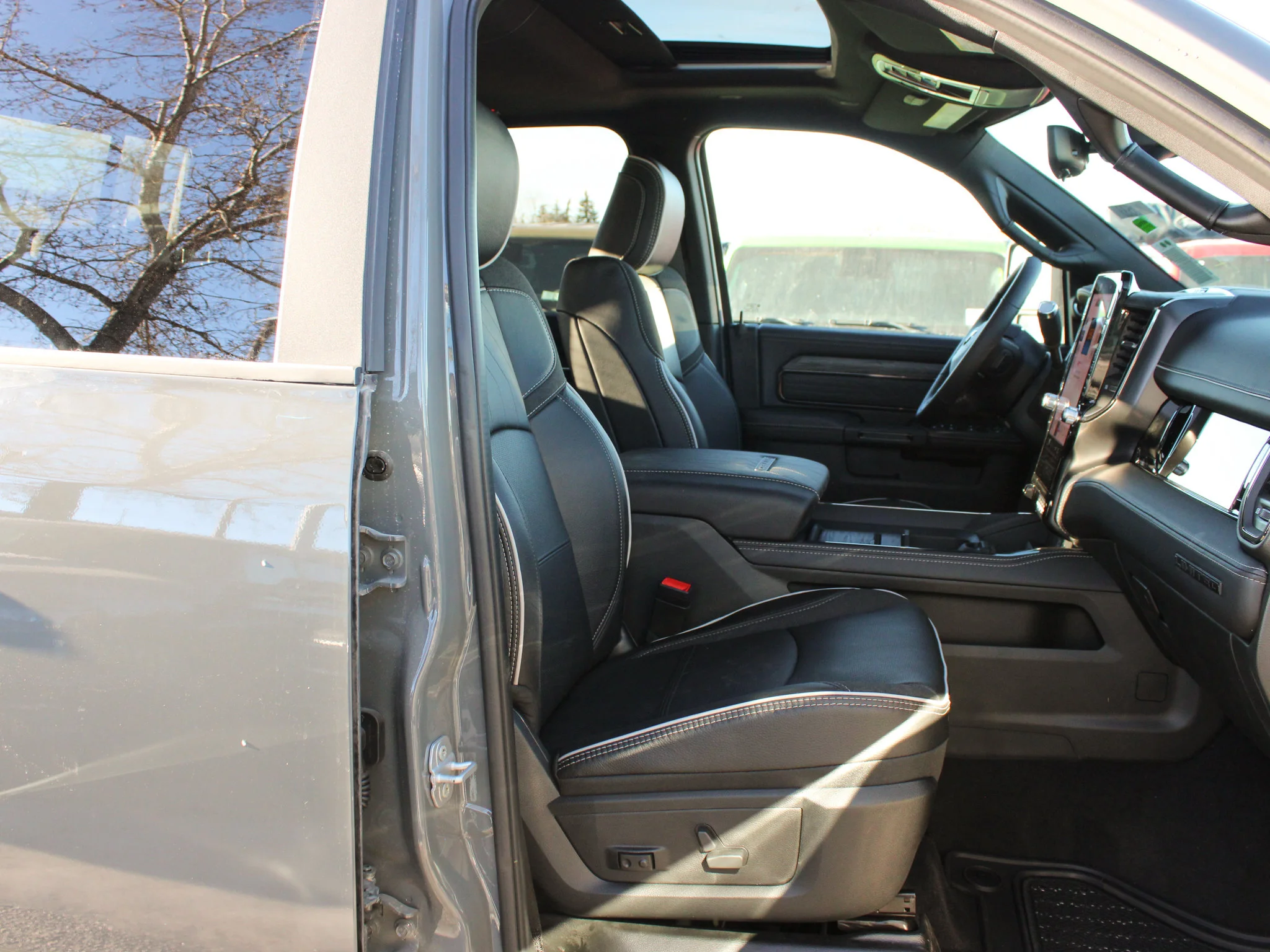New 2026 Grey RAM Limited* image 13