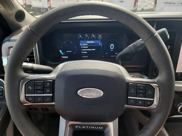 New 2026 Black Metallic Ford Platinum image 32