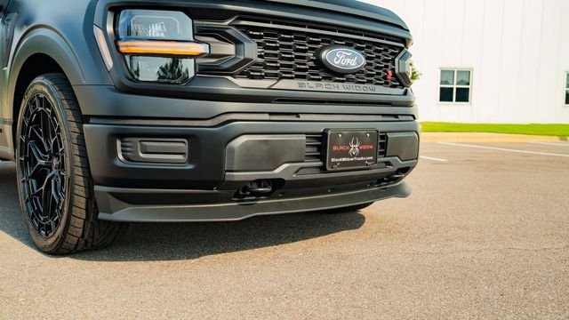 Used 2025 Black Ford Black Widow image 12
