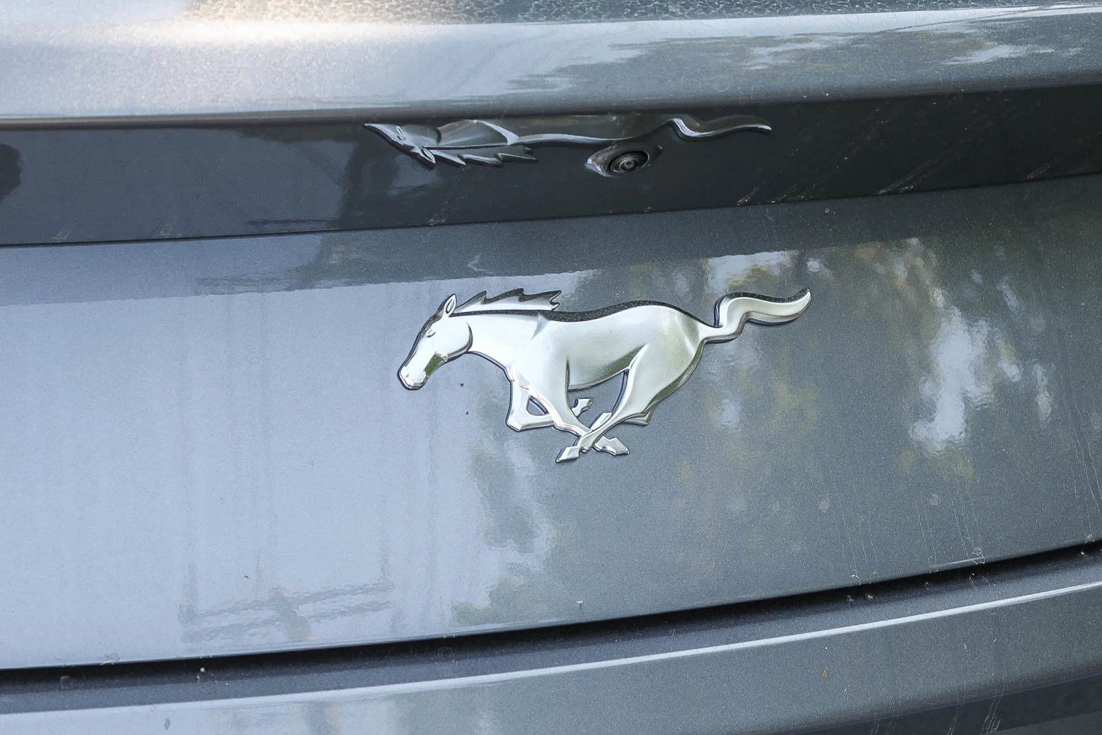 New 2026 Carbonized Gray Metallic Ford EcoBoost® Fastback image 10