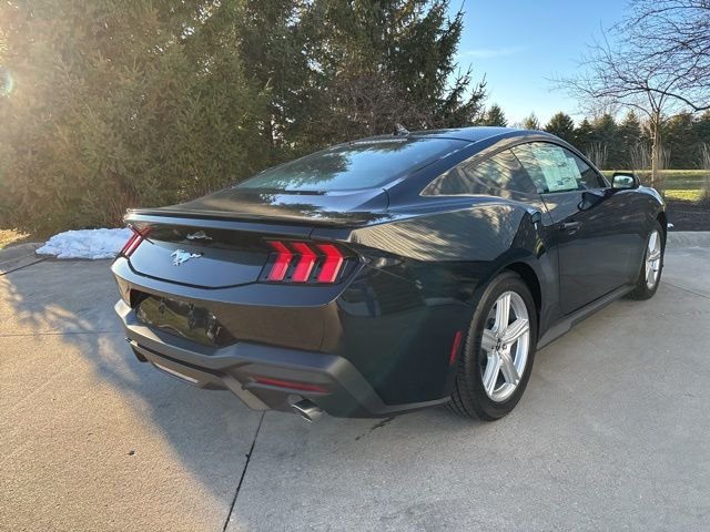 New 2026 Shadow Black Ford EcoBoost Premium image 6