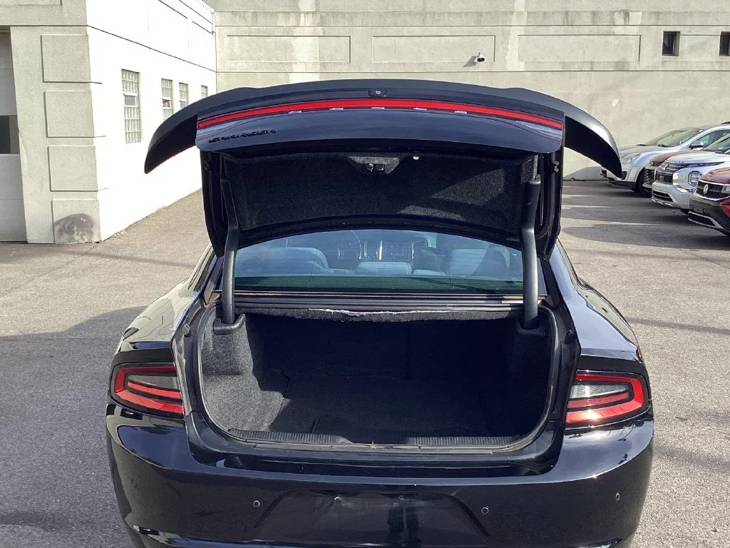 Used 2018 Black Dodge GT image 11