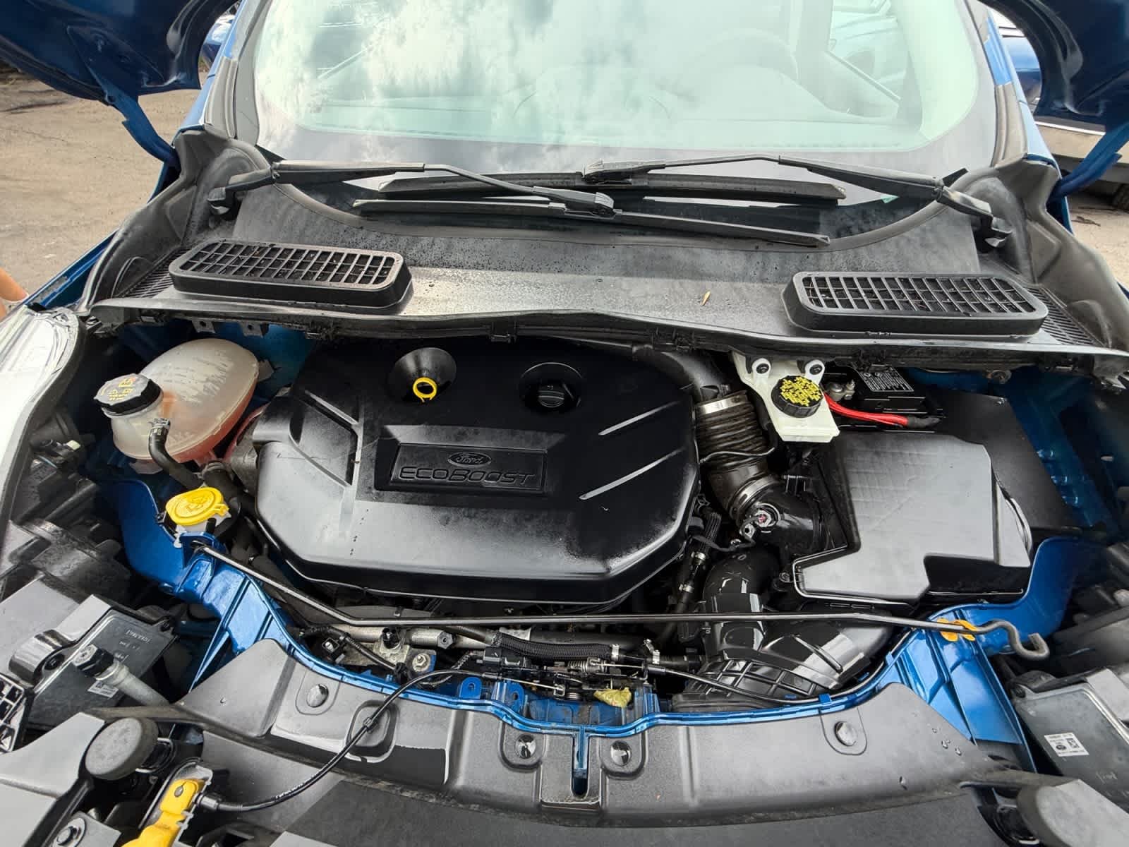 Used 2017 Lightning Blue Ford SE image 27