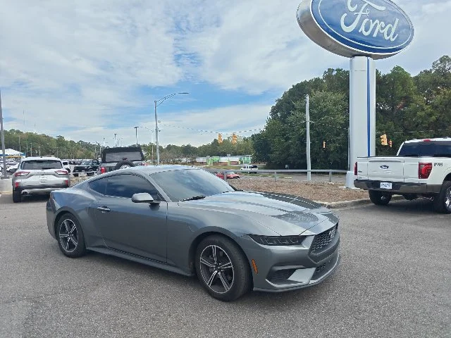 Used 2025 Gray Ford EcoBoost image 1