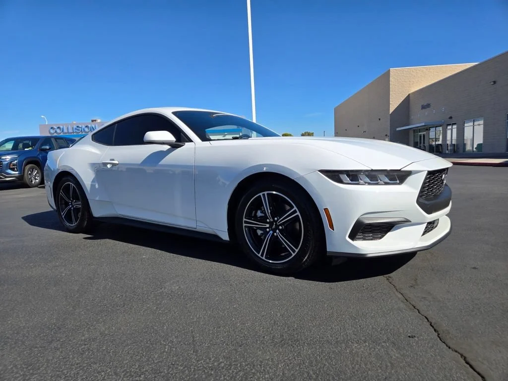 Used 2024 Oxford White Ford EcoBoost image 1