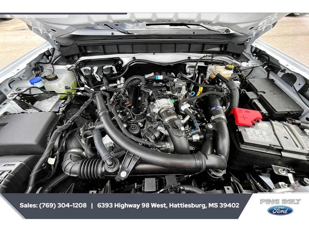 New 2025 Oxford White Ford Stroppe Edition image 6