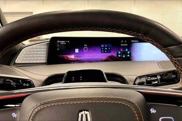 2025 Lincoln Navigator Black Label - Photo 28