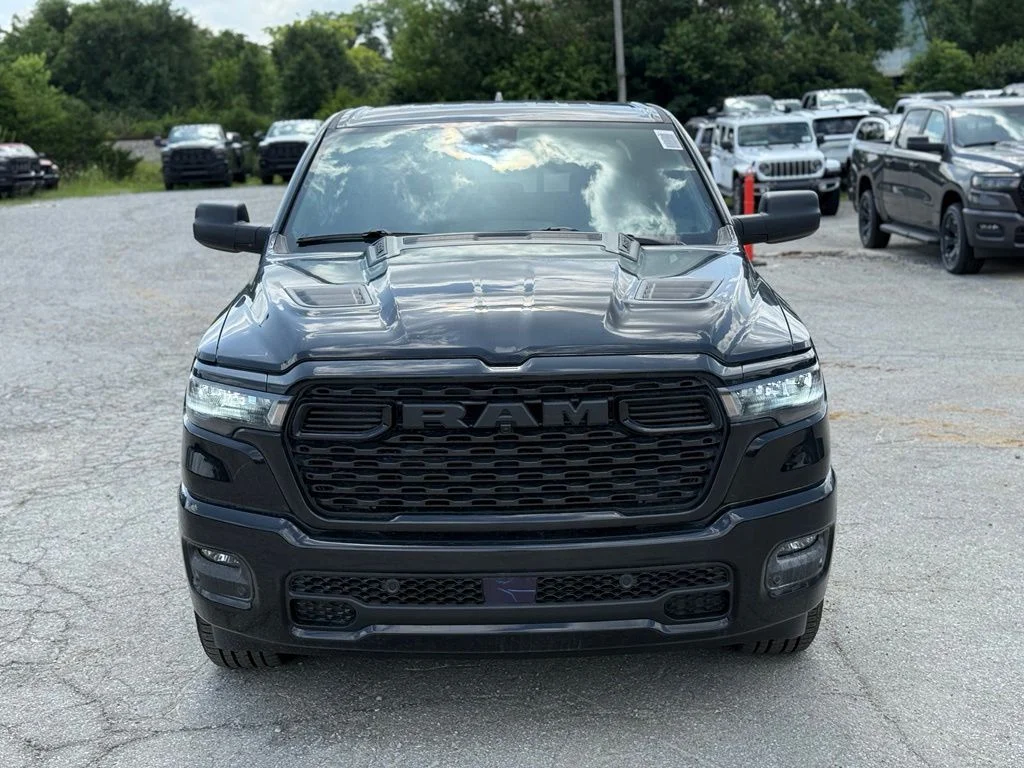 New 2026 Diamond Black Crystal Pearl-Coat Exterior Paint RAM Express image 3