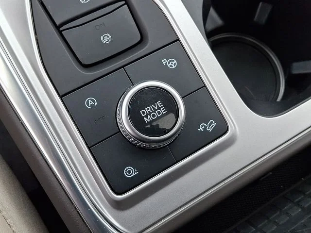 Used 2020 White Ford Platinum image 32