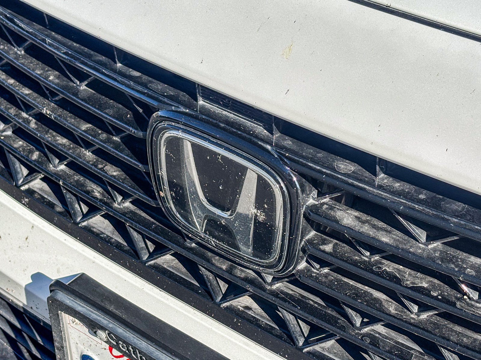 Used 2024 Platinum White Pearl Honda 1.5T LX image 26