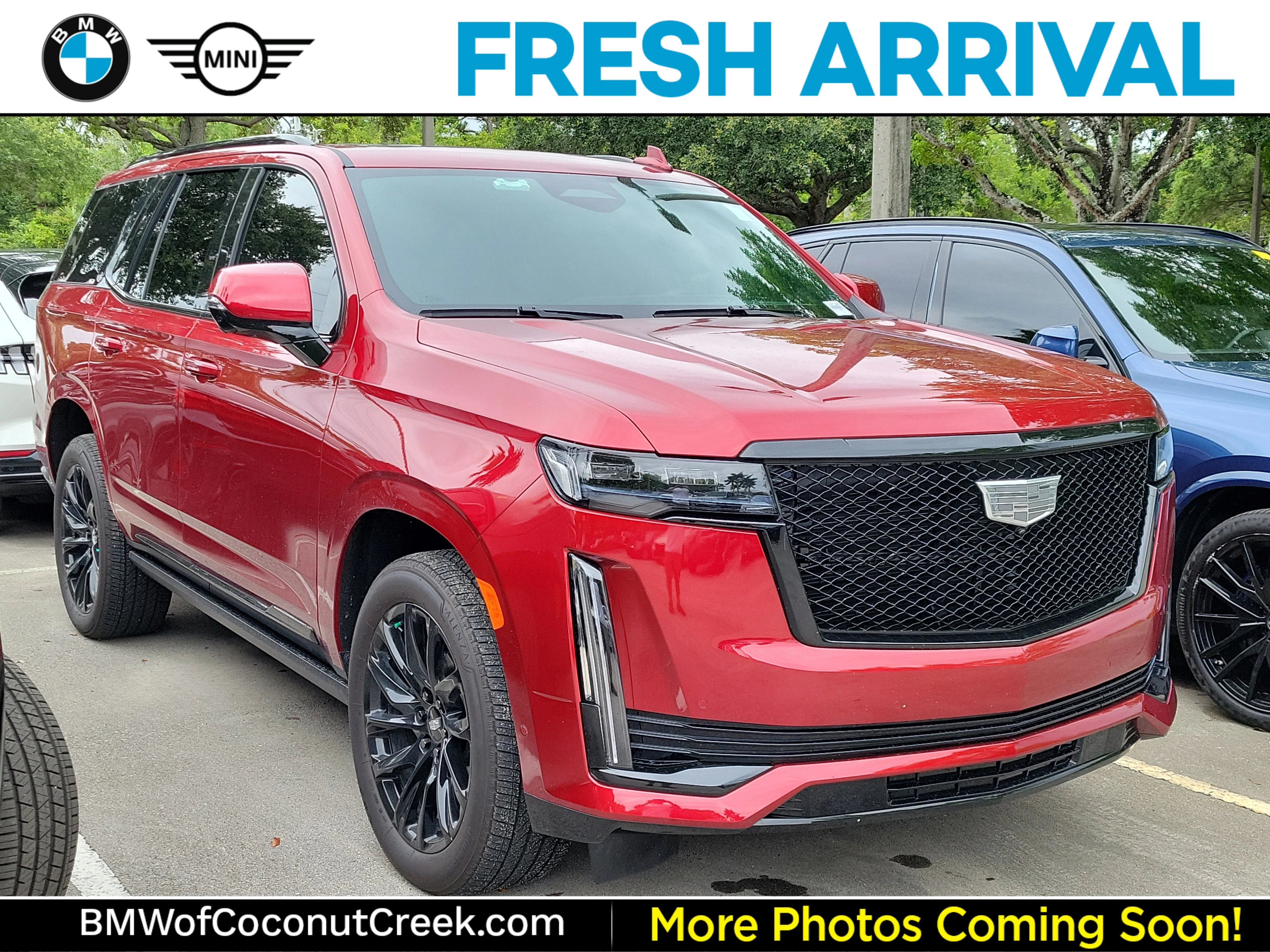 2024 Cadillac Escalade 4WD Sport's photo