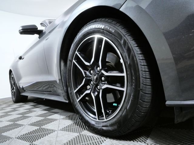 Used 2019 Ford Mustang EcoBoost Premium with VIN 1FATP8UH7K5149170 for sale in Apple Valley, Minnesota