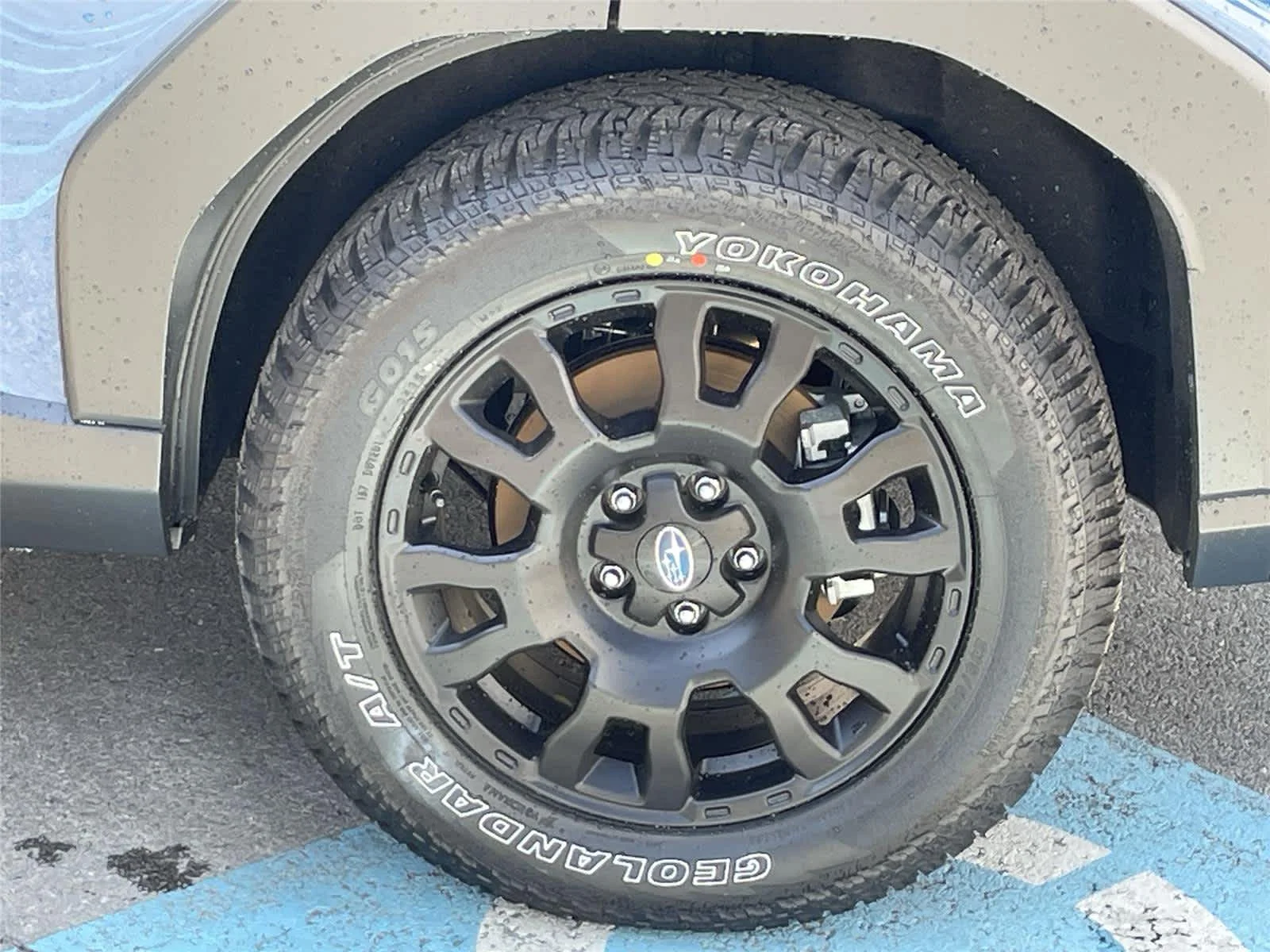 2026 Subaru Forester Wilderness - Photo 11
