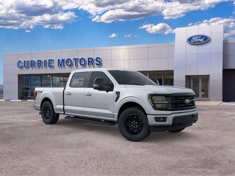 New 2026 Iconic Silver Metallic Ford LIFTED image 27