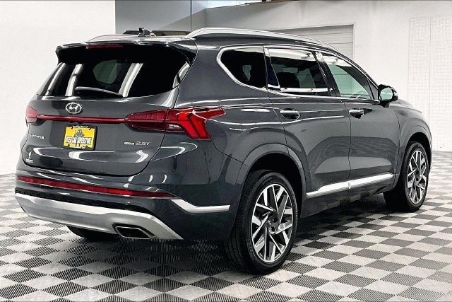 Used 2023 Portofino Gray Hyundai Calligraphy image 13