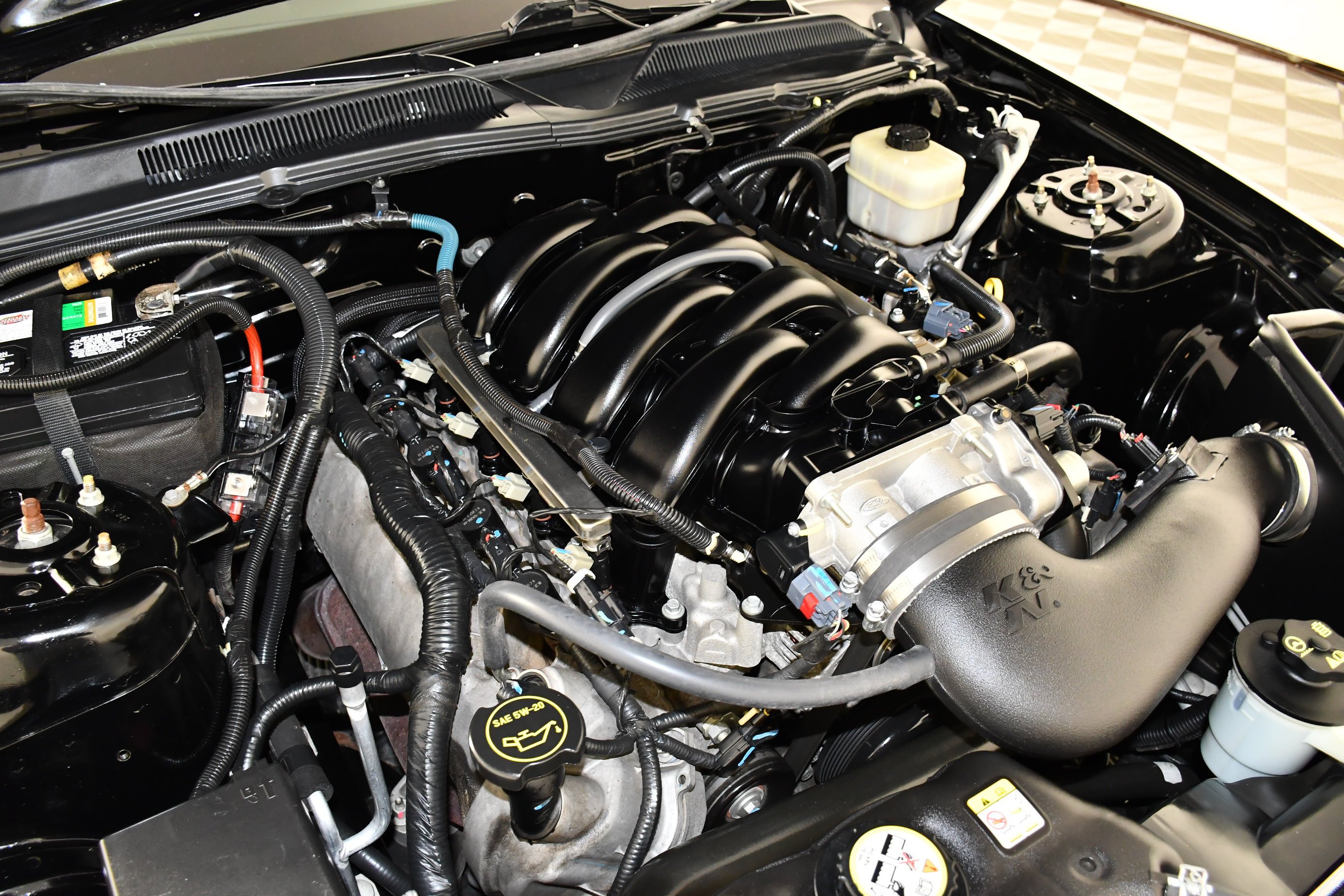 Used 2008 Black Ford GT Deluxe image 47