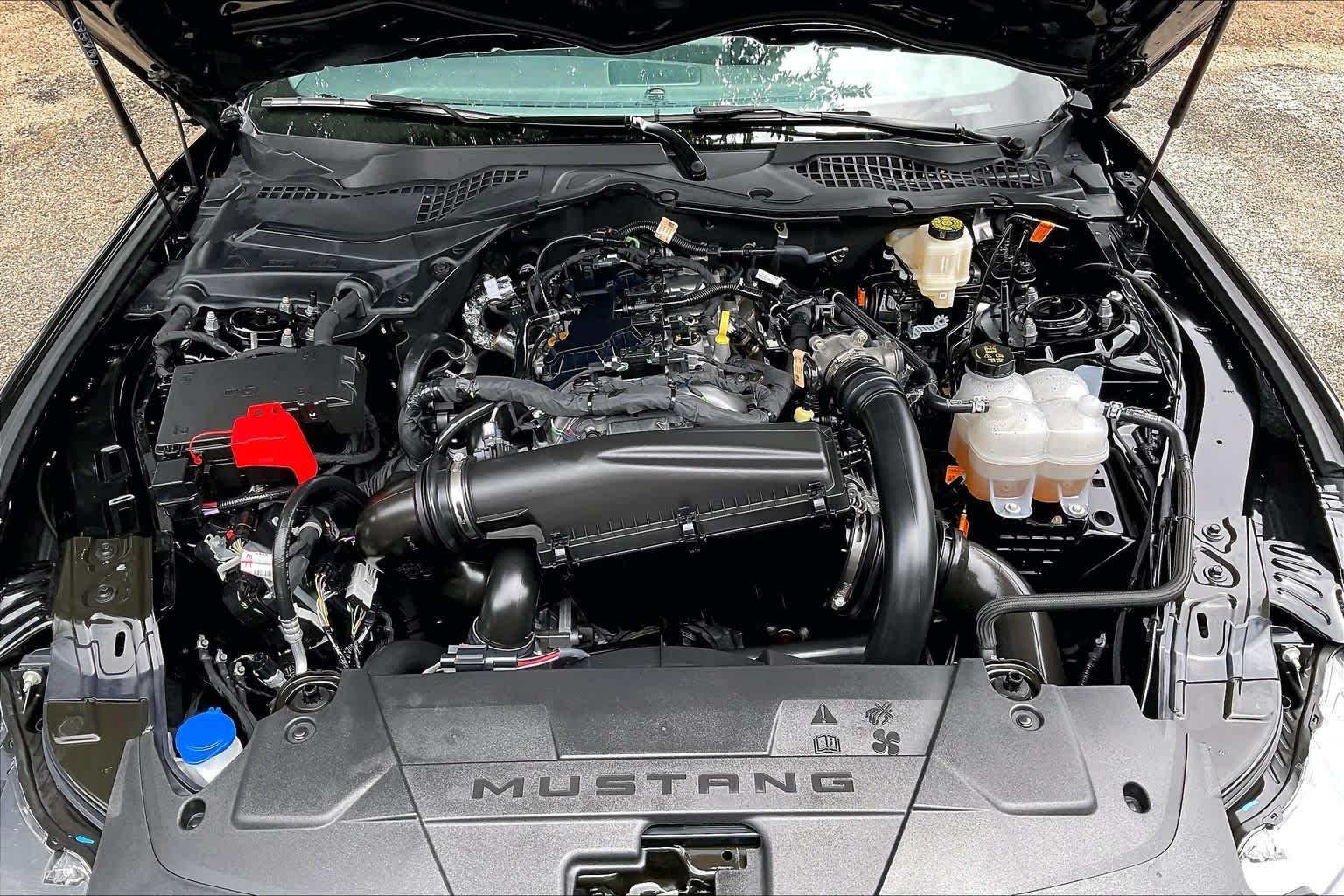Used 2025 Shadow Black Ford EcoBoost image 32