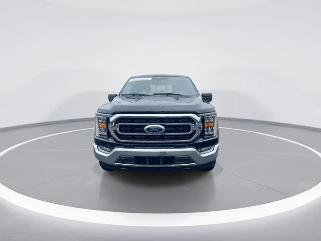 Used 2023 Blue Ford XLT image 3