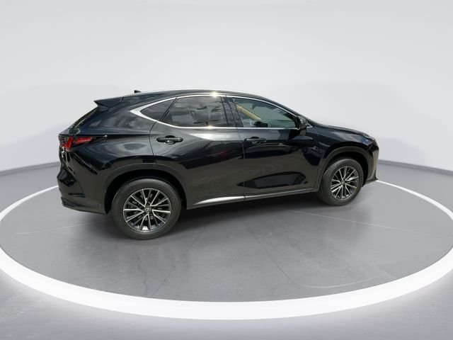 2025 Lexus NX 250 - Photo 8