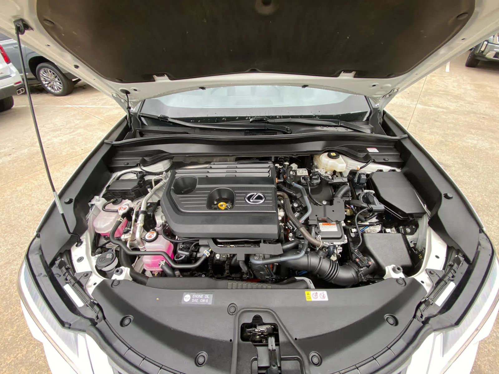 Used 2025  Lexus UX 300h image 31