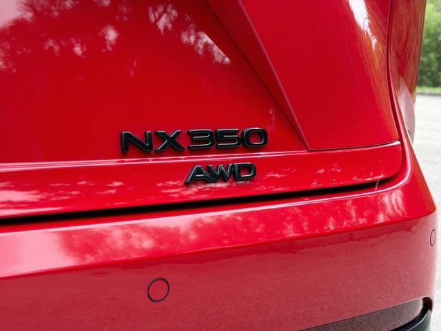 Used 2025 Red Line Lexus NX 350 Luxury image 11