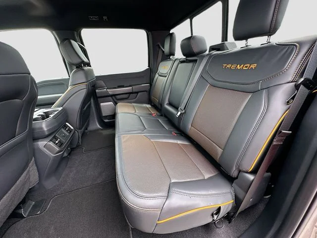 New 2026 Gray Ford Tremor image 17
