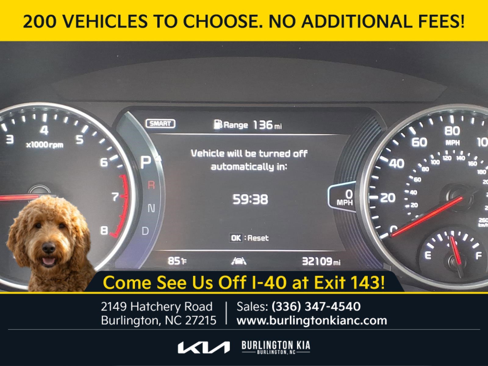 Used 2023 Neptune Blue Kia SX image 14