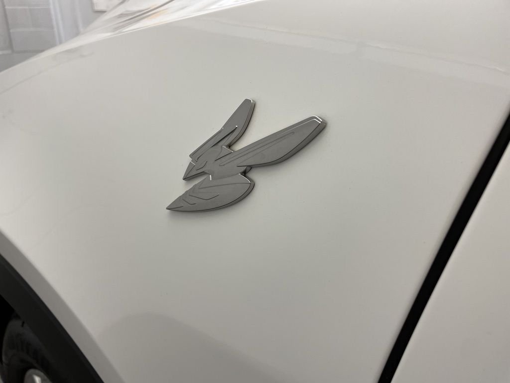 New 2025 Q Ball Exterior Paint Dodge GT image 19