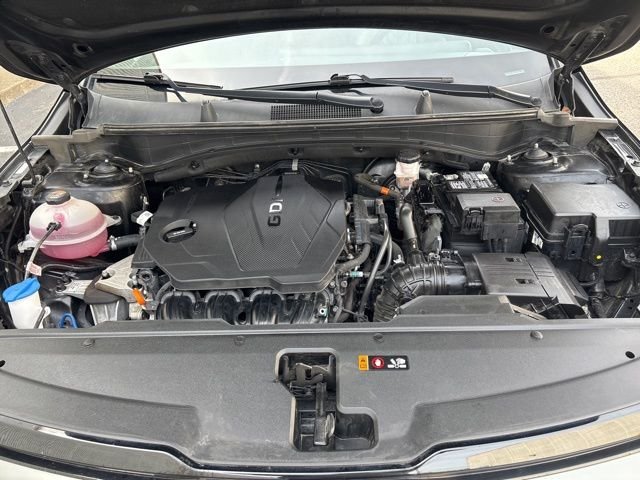 Certified Used 2024 Ebony Black Kia X-Line image 39
