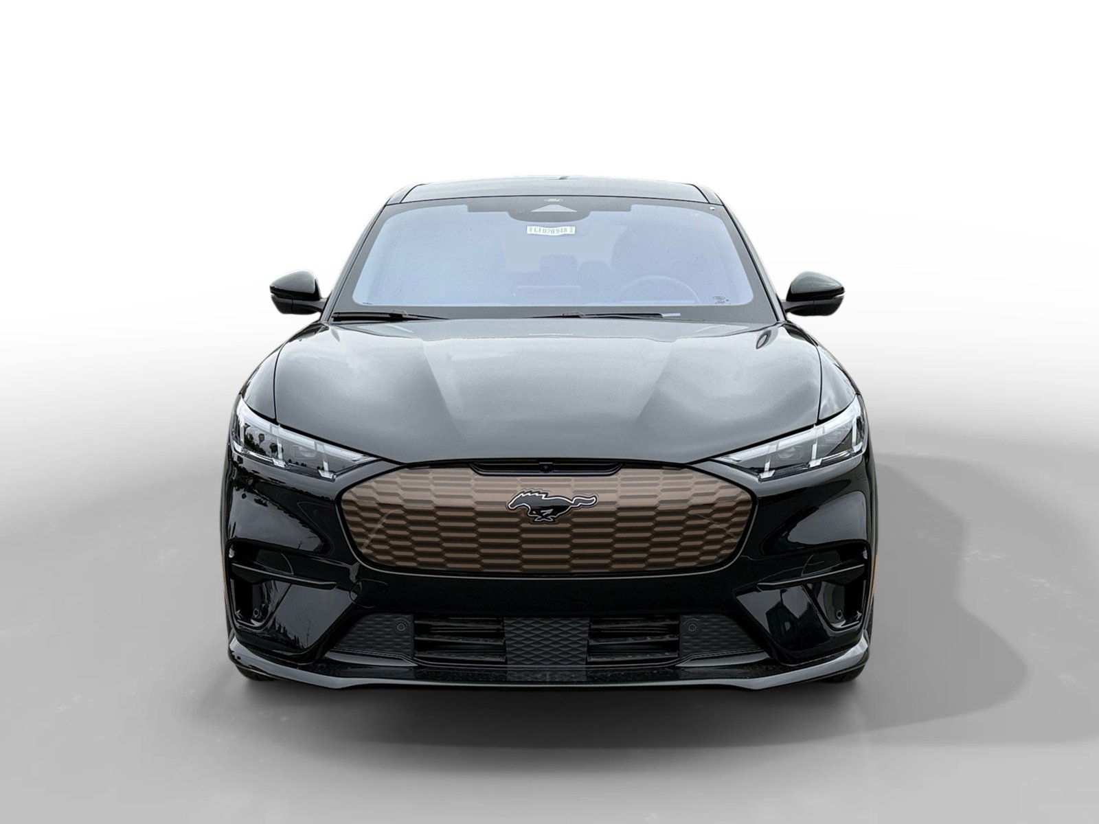 2025 Ford Mustang Mach-E GT - Photo 8