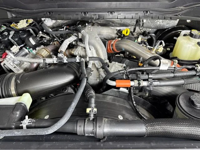 Used 2026 White Ford Platinum image 9
