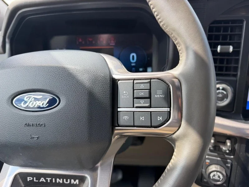 Used 2024 STAR WHITE METALLIC TRICOAT Ford Platinum image 14