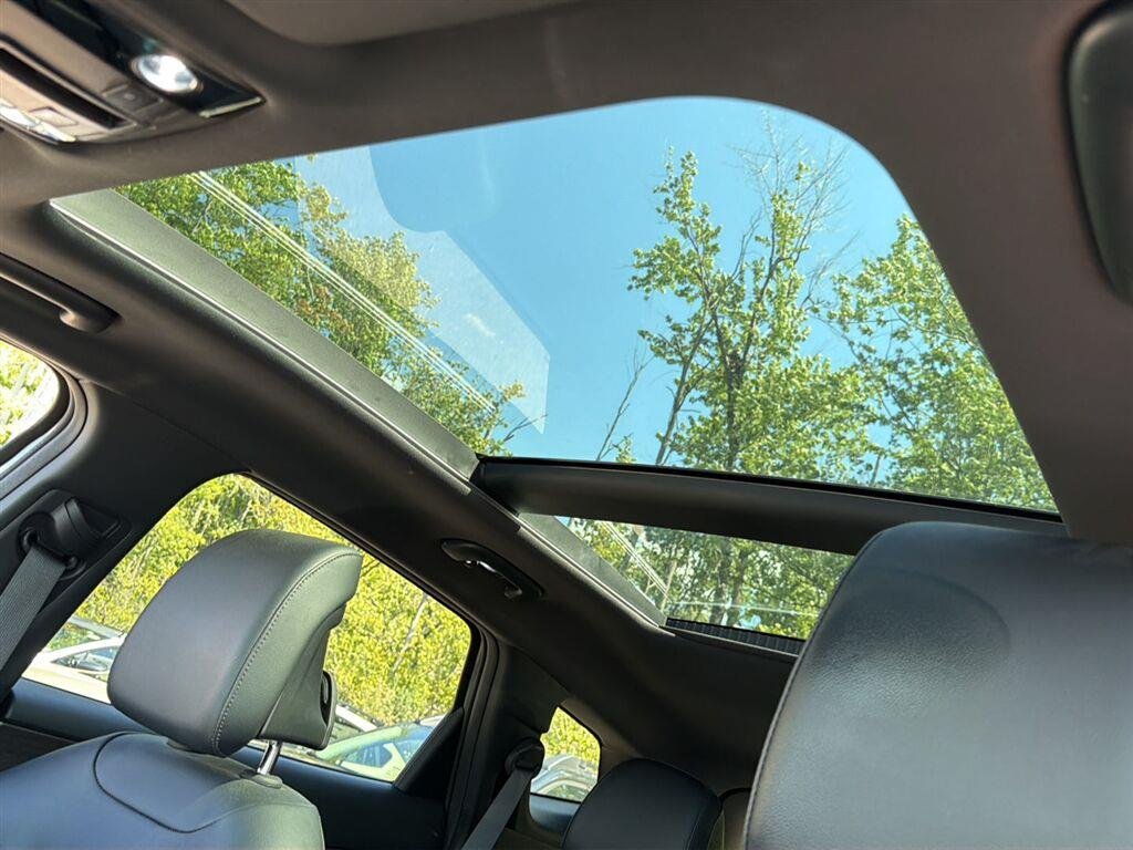 Used 2023 Jungle Green Kia X-Line image 3